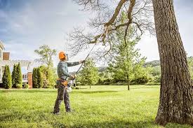 Best Lawn Drainage Solutions  in Bellmawr, NJ