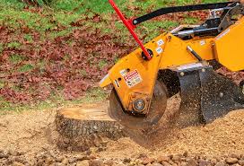 Best Tree Preservation Services  in Bellmawr, NJ