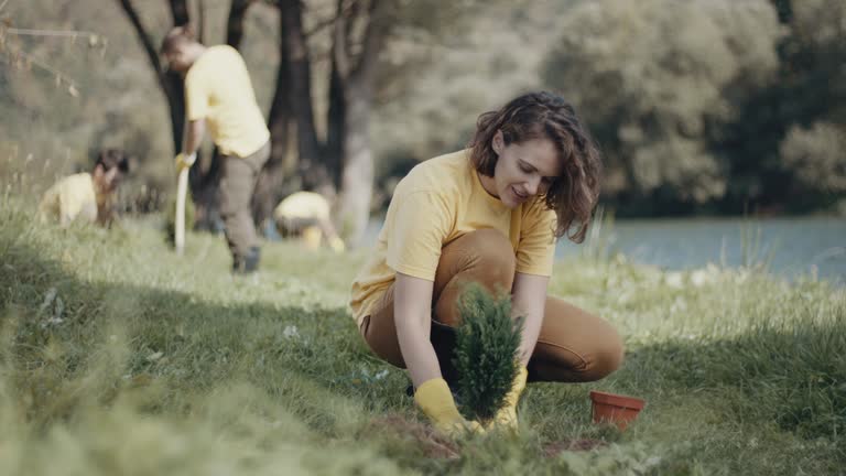 Best Lawn Irrigation Installation and Maintenance  in Bellmawr, NJ